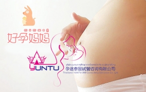ȥ̩ԹӤǰ׼嵥